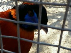 -石家庄市动物园