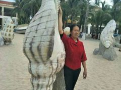 -鸿港海鲜批发市场