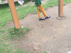 -洪湖家庭农场·团建·露营·会议