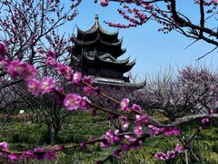 -上海海湾国家森林公园