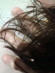 -MY HAIR ARDOR