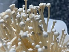 -半天妖烤鱼(东方新天地店)