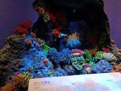 -中国湿地博物馆