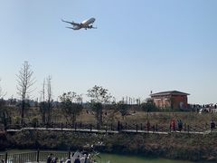 -空港花田景区