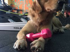 -RoMan罗马健身工作室(莘庄店)