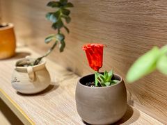 -阿水大杯茶(金融街佳乐家店)