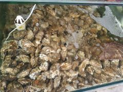 -海岸风情蒸汽海鲜自助餐厅(家宴金手勺店)