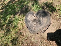 -长春公园(普阳街道)