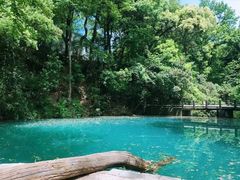 -浙江大学之江校区-停车场