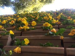 -云南民族大观园