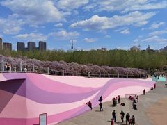 -群力丁香公园