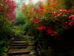 -九如山休闲旅游度假区