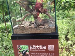 -南宫五洲植物乐园