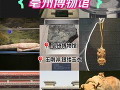 -亳州博物馆