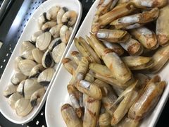 -蚝专家