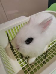 -Moni星球萌宠·小马宝莉·灵蛇·高端高阶全萌宠互动体验俱乐部(红豆国际广场店)
