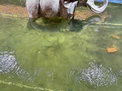 -光头佬钓虾场·烧烤·聚餐·亲子(金沙洲店)