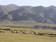 -青海湖国家重点风景名胜区