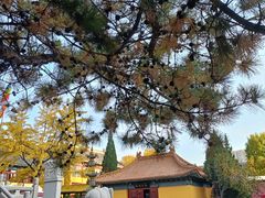 -挂甲禅寺
