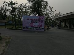 -上海长兴岛郊野公园