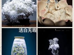 -中国美术馆
