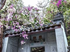 -深圳国际园林花卉博览园