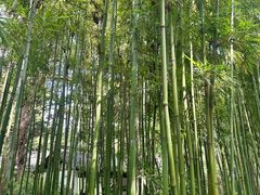 -成都杜甫草堂博物馆