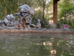 -深业半汤御泉庄温泉