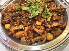 -重庆金爪爪特色干锅(大竹林直营店)