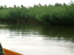 -白渔泡湿地公园