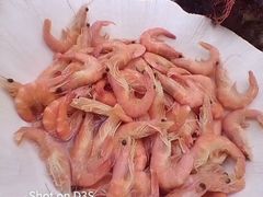 -白云宾馆-祥云西餐厅·法式鹅肝海鲜自助