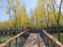 -东郊湿地公园