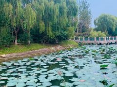 -河北工业大学(北辰校区)