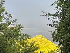 -济南南郊宾馆