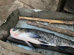 -姥家大锅台水库渔家