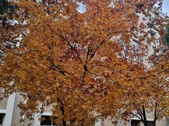 -大连理工大学(凌水校区)