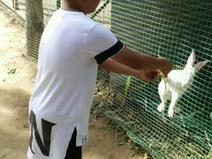 -草根堂农场