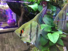 -青石桥市场北1-27号