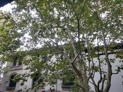 -猫的天空之城概念书店(杭州南宋御街店)