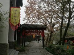 -西溪国家湿地公园