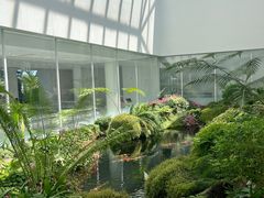 -罗红摄影艺术馆