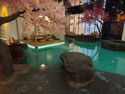 -雅极坞国潮SPA轻养馆
