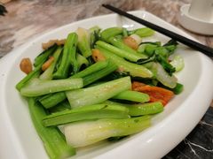 -姚林轩