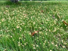 -敬亭山风景名胜区