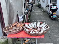 -东钱湖旅游度假区