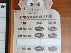 -野象谷景区