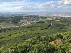 -帽儿山国家森林公园