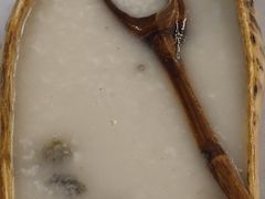 基诺粥-基诺山寨.版纳民族特色菜