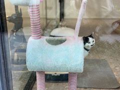 -天目湖涵田度假村