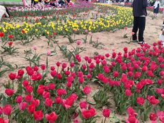 -石家庄市植物园